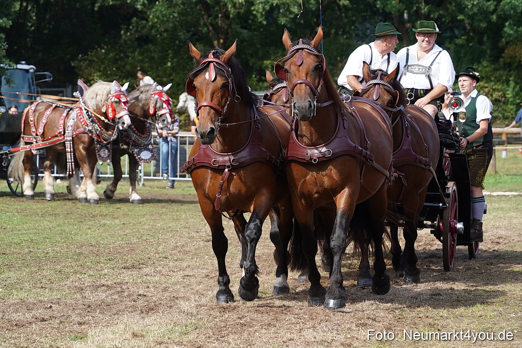 Pferde und Fohlenschau 2022 0231 